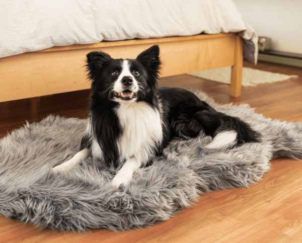 PupRug by Paw.com? Faux Fur Orthopedic Dog Bed - Curve Charcoal Grey - Image 10