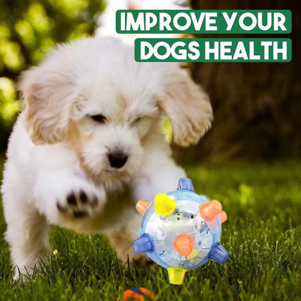 Pet LED Vibrating Activation Ball - Image 2