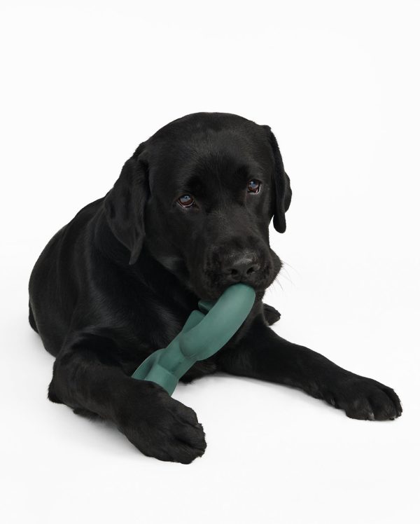 Twin Falcon Toy - Image 6